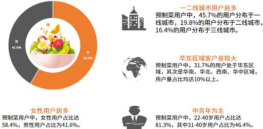 2021年中國預(yù)制菜行業(yè)C端用戶畫像